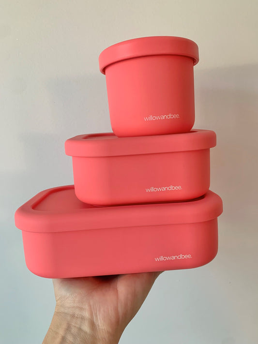 Coral Silicone Lunch Container